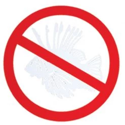 MARINE SPORTS 8" Vinyl Decal Anti Lionfish