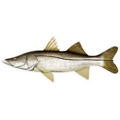 MARINE SPORTS Snook Profile Fish Decal